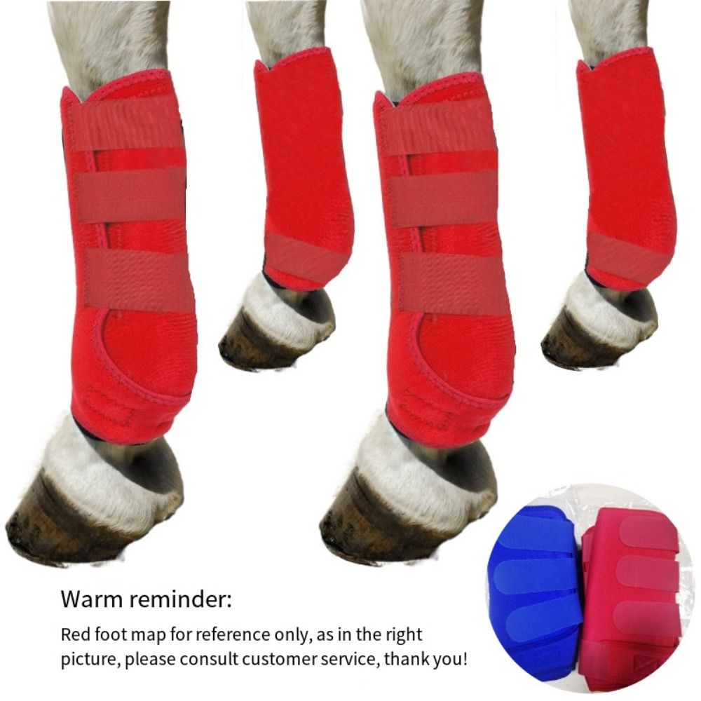 4pcs/set Colorful Horse Sport  - đánh giá và giá Brushing Boot Horse