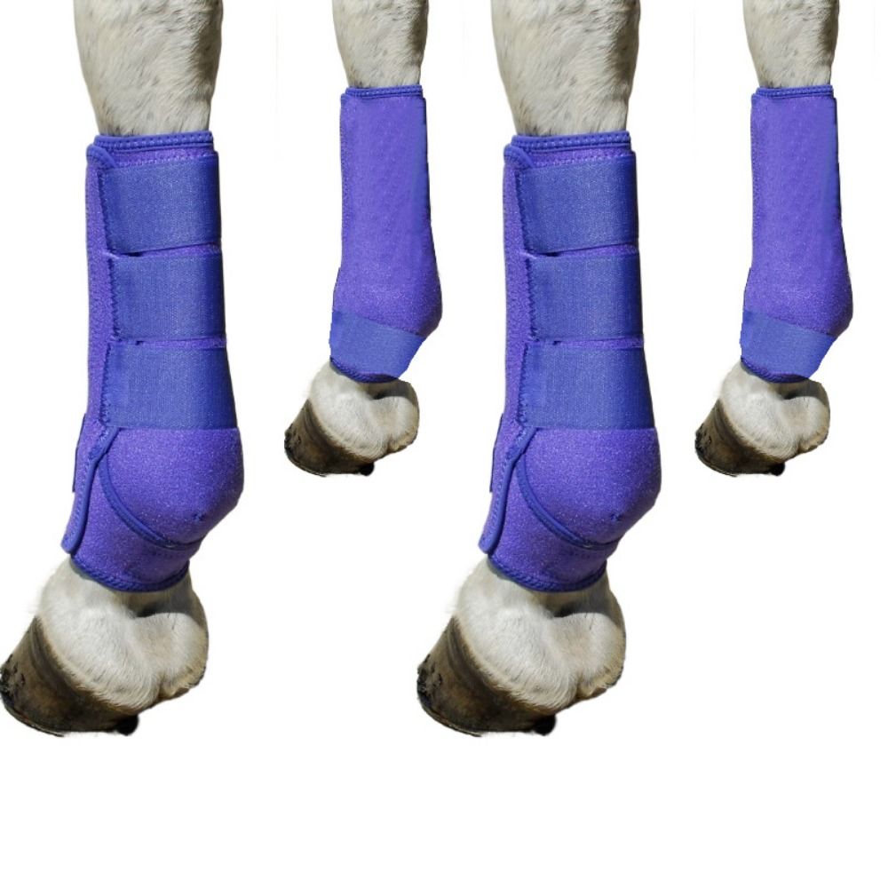 4pcs/set Colorful Horse Sport  - đánh giá và giá Brushing Boot Horse