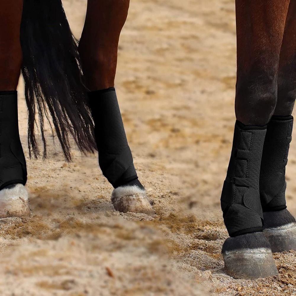 4pcs/set Colorful Horse Sport  - đánh giá và giá Brushing Boot Horse