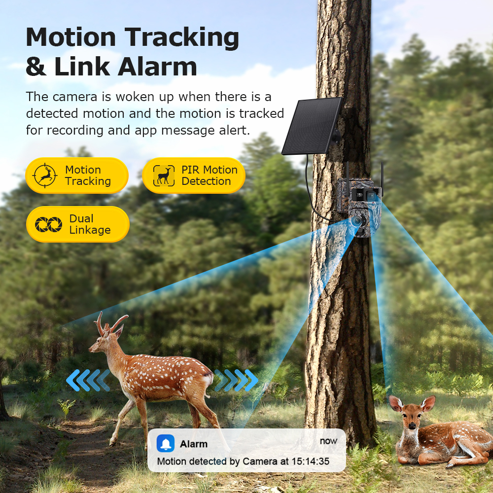 LS VISION 60X Zoom Trail Camer - đánh giá và giá Outdoor Sport Camera