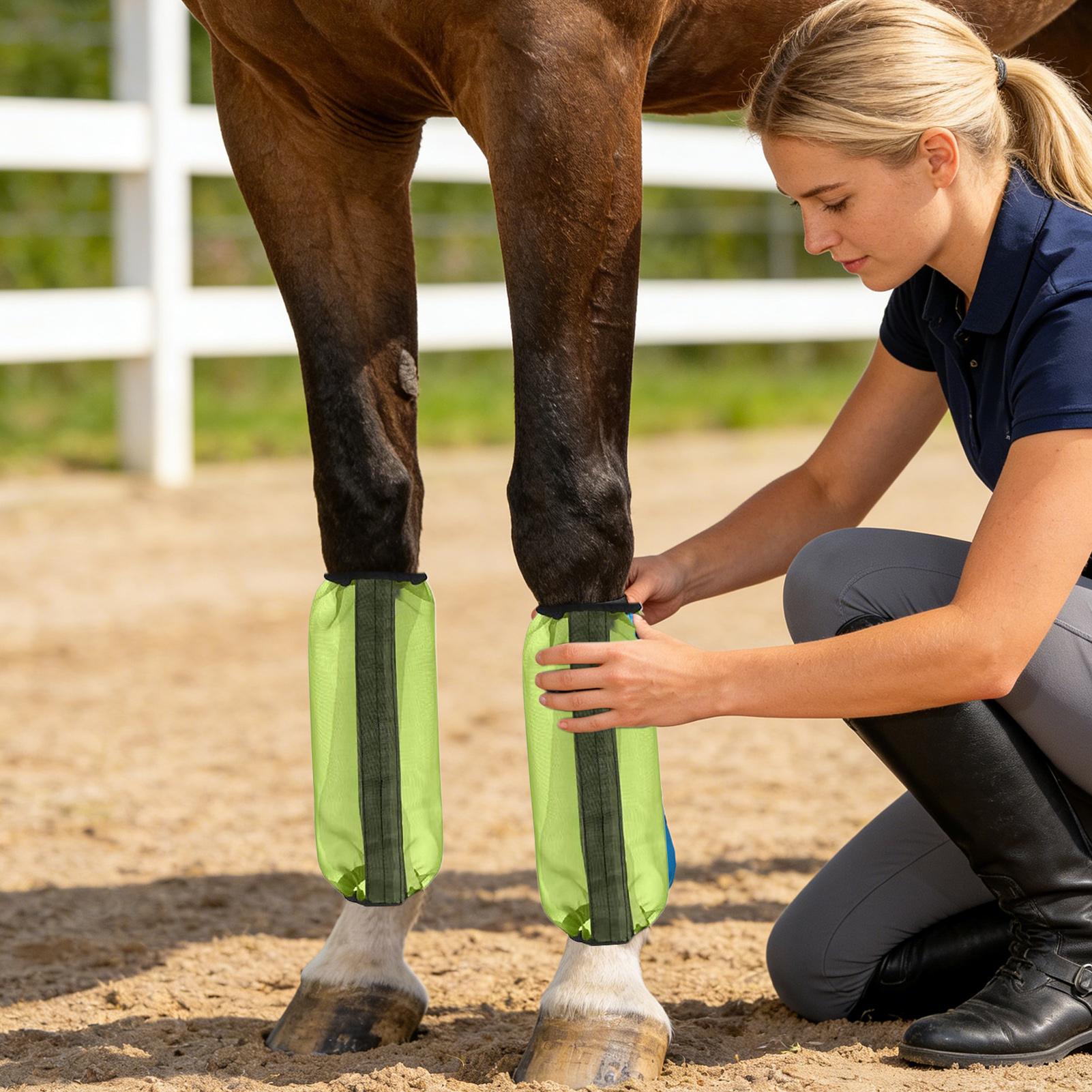 Horse Fly Boots 4 Pieces Mesh  - đánh giá và giá Brushing Boot Horse