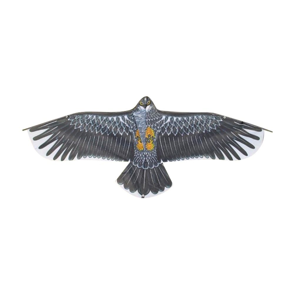 1.1m Eagle Kite With 30m Kite  - đánh giá và giá Outdoor Sport Games