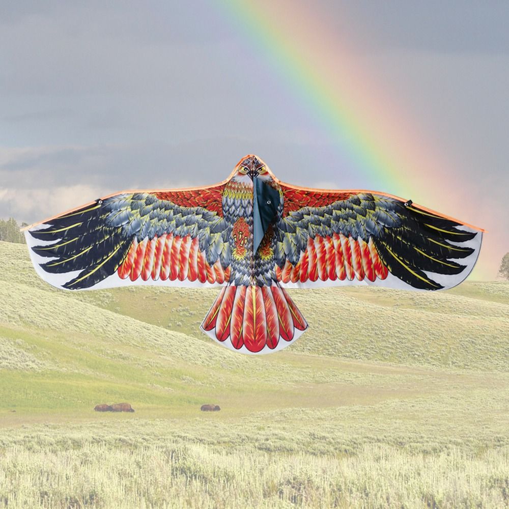 1.1m Eagle Kite With 30m Kite  - đánh giá và giá Outdoor Sport Games